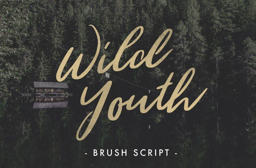 Wild Youth - Top Free Font